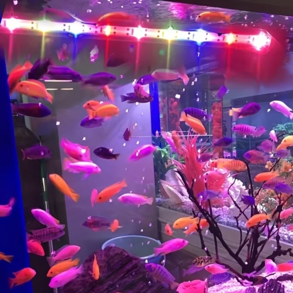 LED Aquarium Light with USB